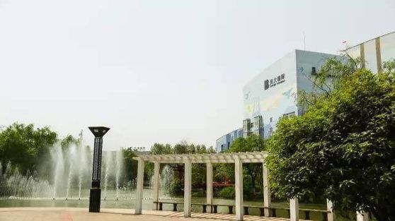 55.jpg