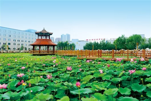 1560476010583219.png 微信截圖_20190614093149.png